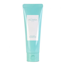 VALMONA Шампунь для волос Увлажнение Recharge Solution Blue Clinic Shampoo, 100 мл