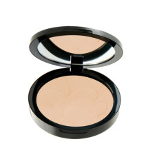 Пудра PASTEL PROFASHION ADVANCED тон 45